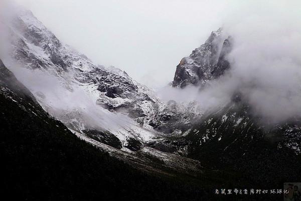 逃离野丛之森