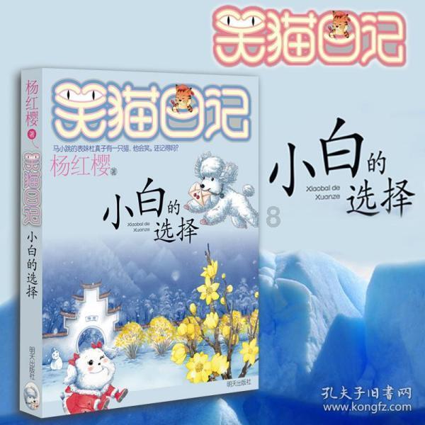 学习2024年海南省两会精神政府工作报告横板展板