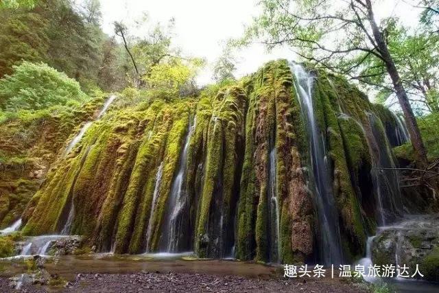 山东有什么特产可以送人？游戏画面