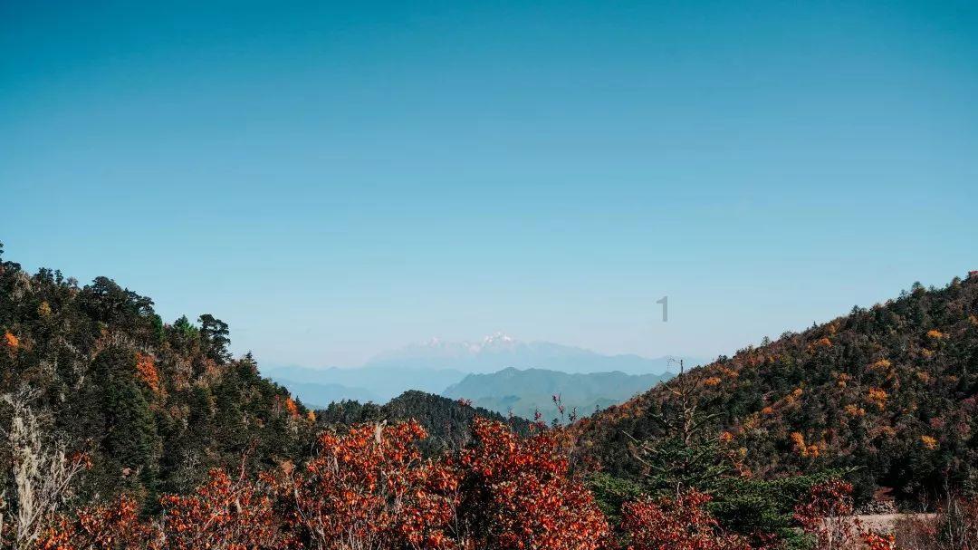 双点医院