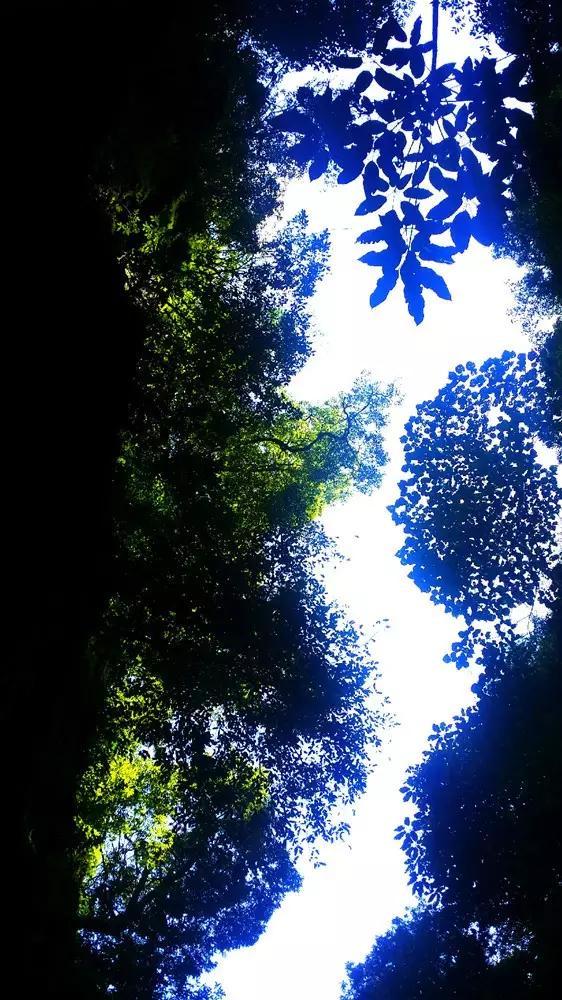探索经济分析史值得一看吗?知识星球,共享精彩学习之旅