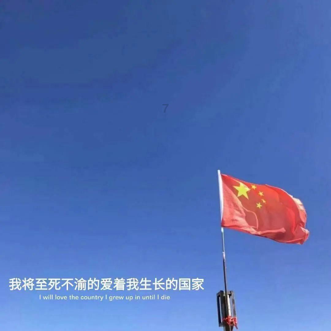 小猫钓鱼正版下载中文版