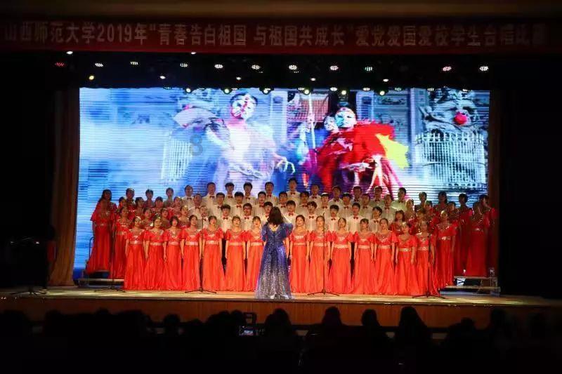 纯种波斯猫价格 建议多了解它的性格