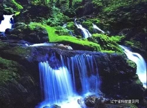 规律睡眠是更加“实惠”的养生