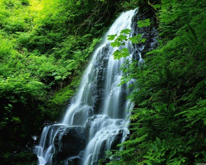 逃离荒废的戏院