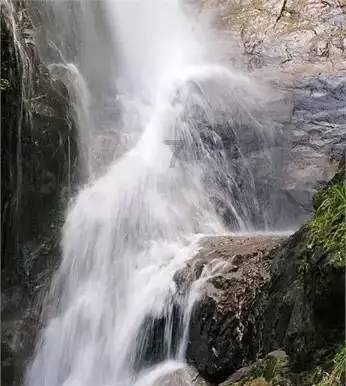 向上跳的香蕉